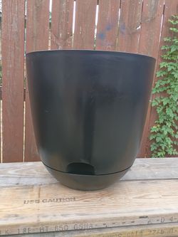 Planter , self watering pot