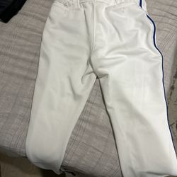 Mizuno Blue Piped Baseball Pants Size Small
