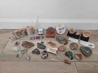 Gems and Fossils