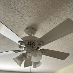 Ceiling Fan with Light Fixture