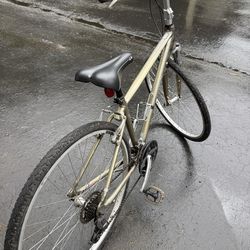 Alturas 2.0 cross/ hybrid bike