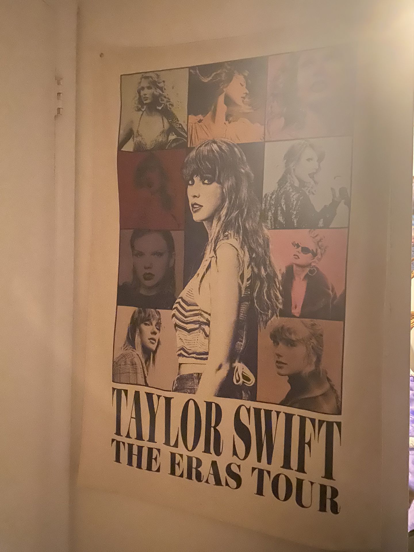 Taylor Swift Canvas Poster