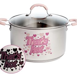 NEW Paris Hilton Stainless Steel Stock Pot 