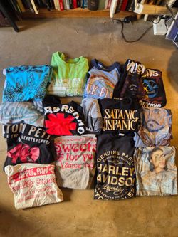 Lot of 14 Graphic T-Shirts Band & Novelty