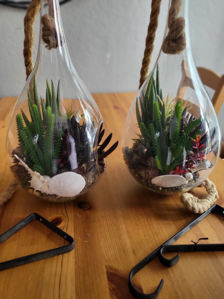 Decorative Hanging Succulent Plant In Teardrop Glass 