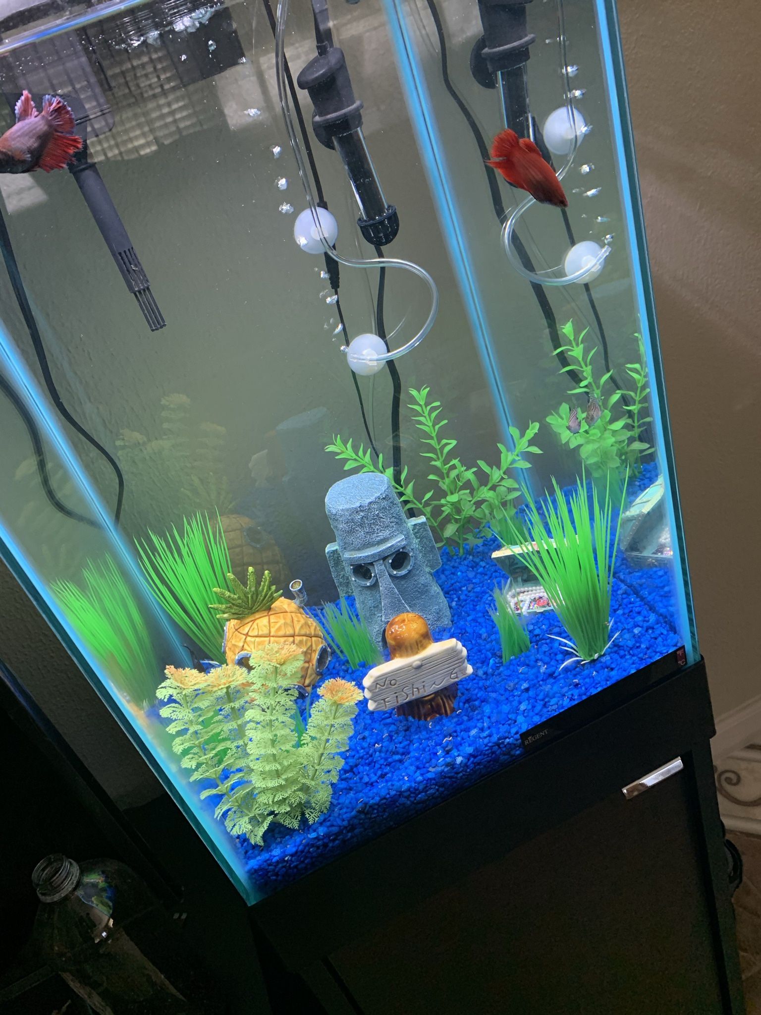 Aqueon 15 gallon tank with column stand