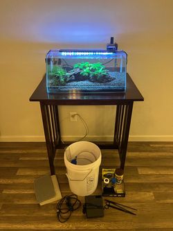 10g fish tank