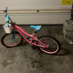 Schwinn Girls Bike 