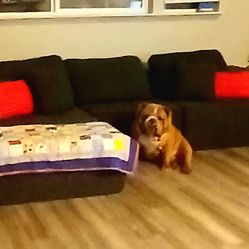 Still New Boneless L Shaped Sectional