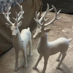 White Reindeers