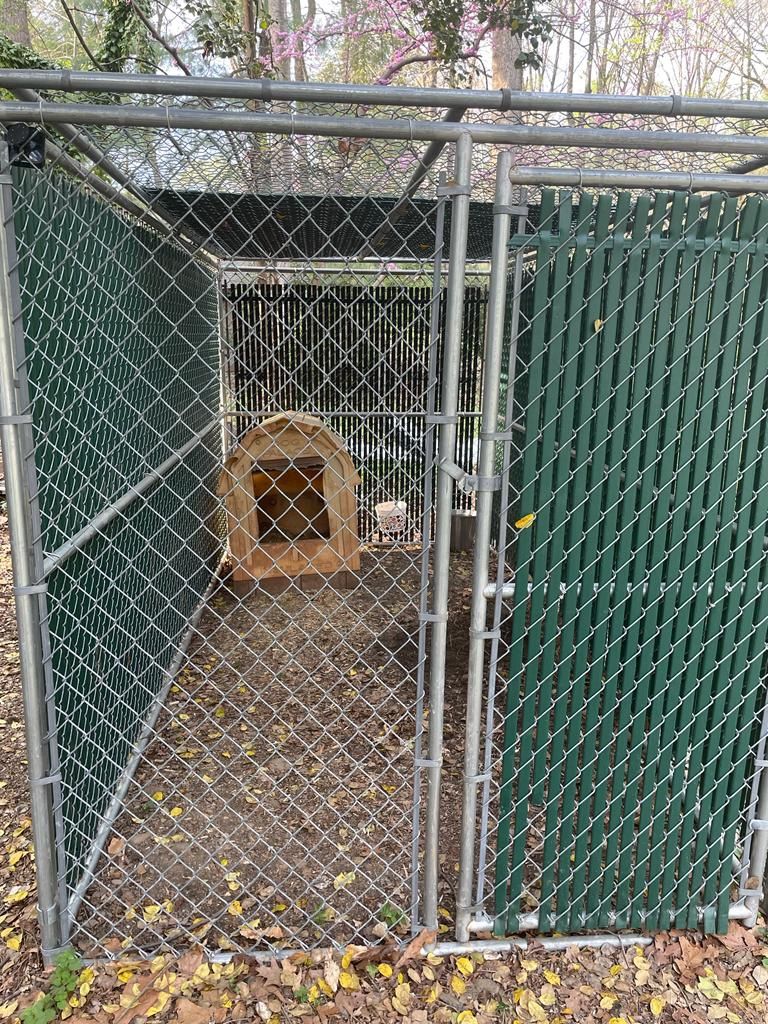 Dog Kennel 
