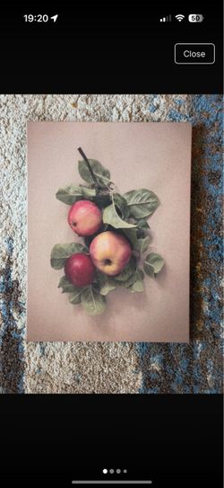 Fruit art print
