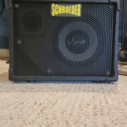 Schroeder Mini 10 Bass cabinet 
