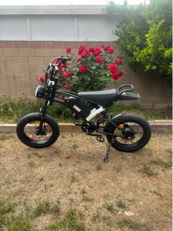 Electric bike