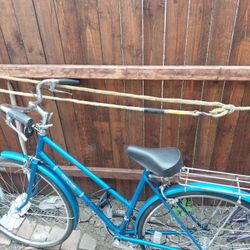 The 1960's Shwinn Vintage bicycle