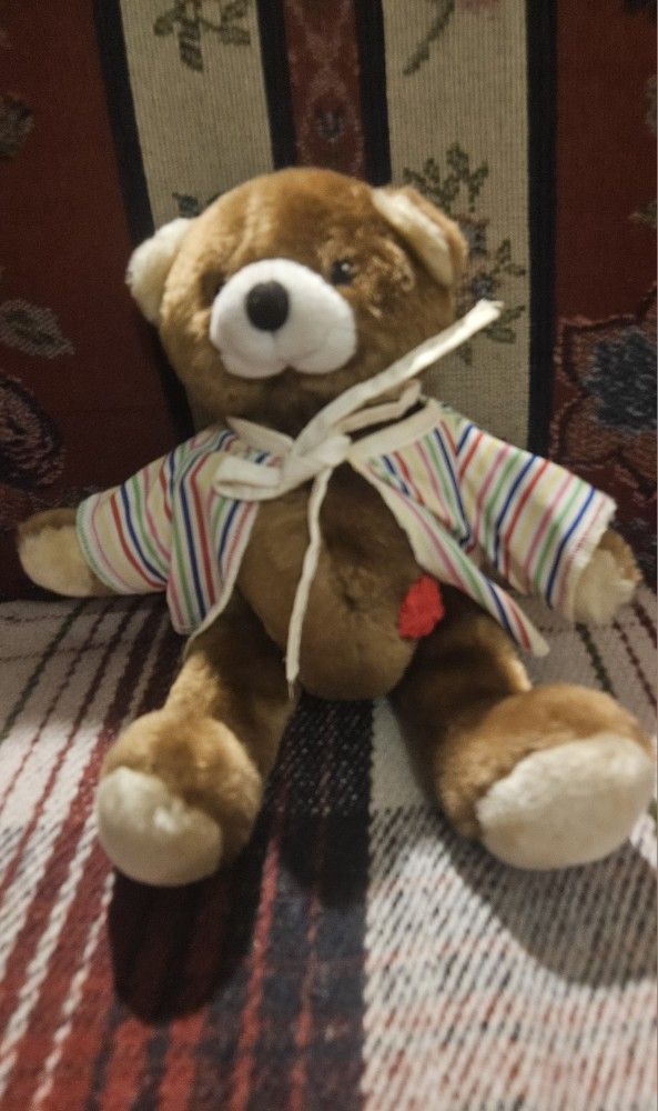 ROSCO ROSS HIDE -A-PORT TEDDY BEAR PLUSH TOY
