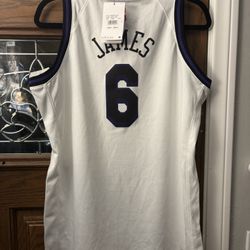 Nike Los Angeles Lakers City Edition Jersey #6 LeBron James Youth Size XL NEW.