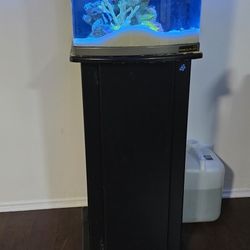 Salt Water Nano Tank 