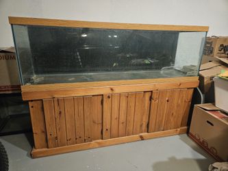 Fish tank-125 gal