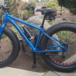 Fat tire bike