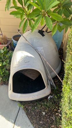 Dog house