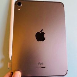 Apple Ipad Mini 6th Generation (2021/ 8.3” Liquid Retina ) 64GB WiFi + cellular (5G Unlocked) with pen, case & Accessories 