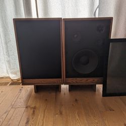Custom Made MTX Speakers