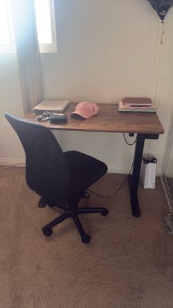 Standing Desk electric