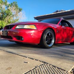 1999 Ford Mustang