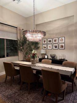 6 dining chairs brand new