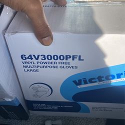 Vinyl Gloves