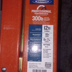 12 Ft Werner Ladder