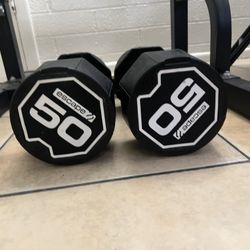 New 50lb Dumbbells 