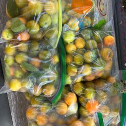 Calamansi Or Philippine Lemon For $1 A Bag