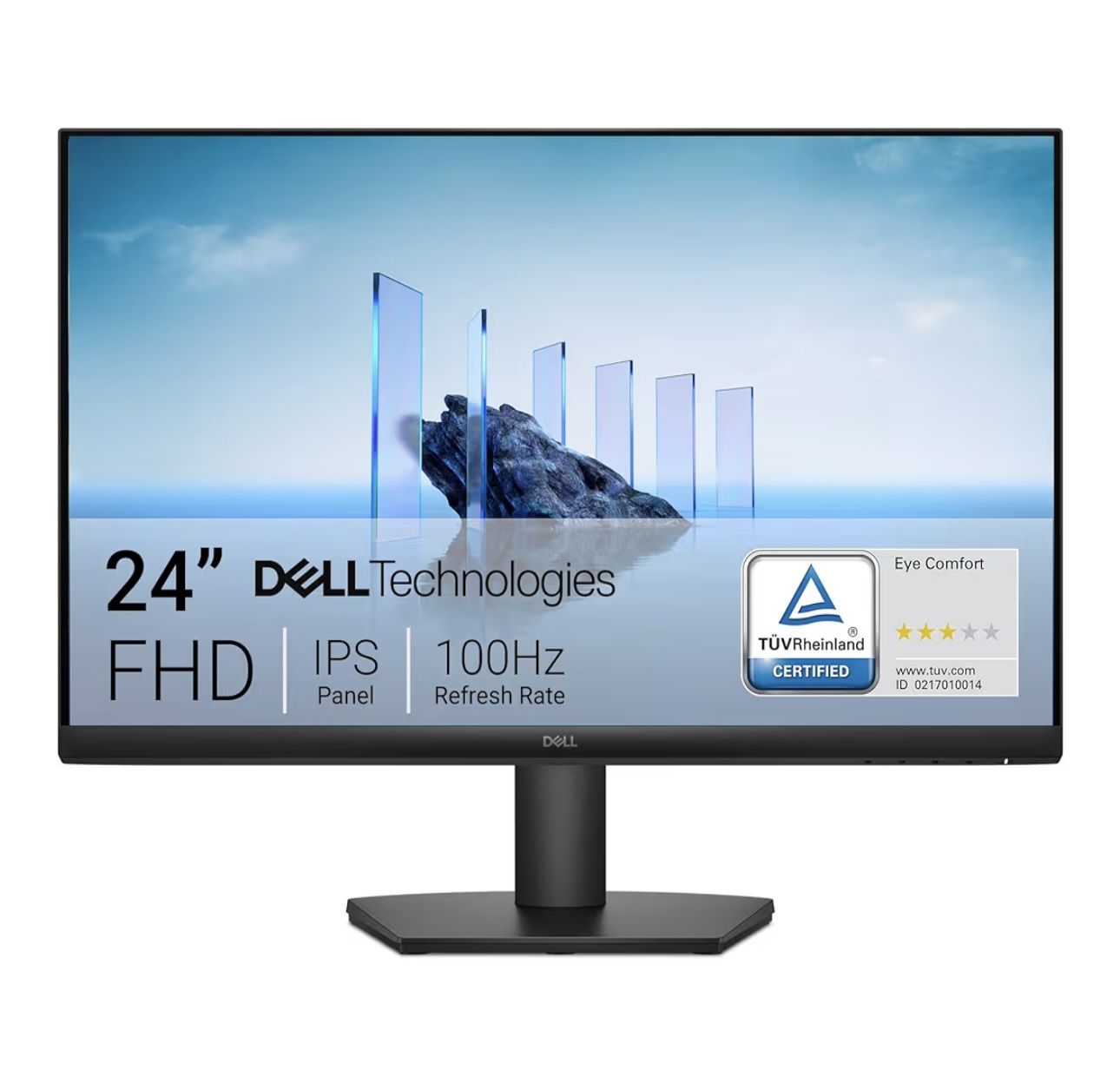 Dell 24" Monitor