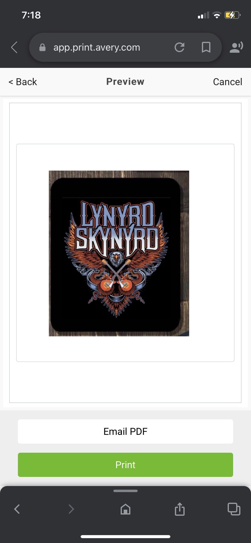 Lynyrd Skynyrd Mouse Pad