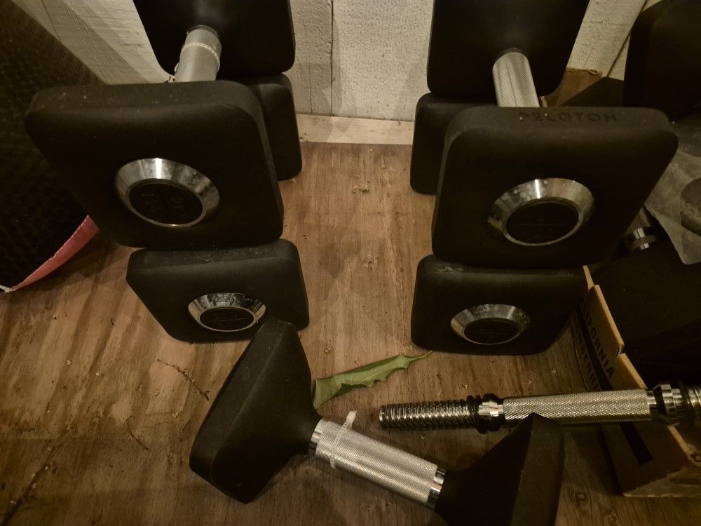 270 Pounds of Weights, Peloton Dumbbells