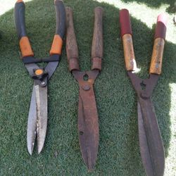 Scissor Garden