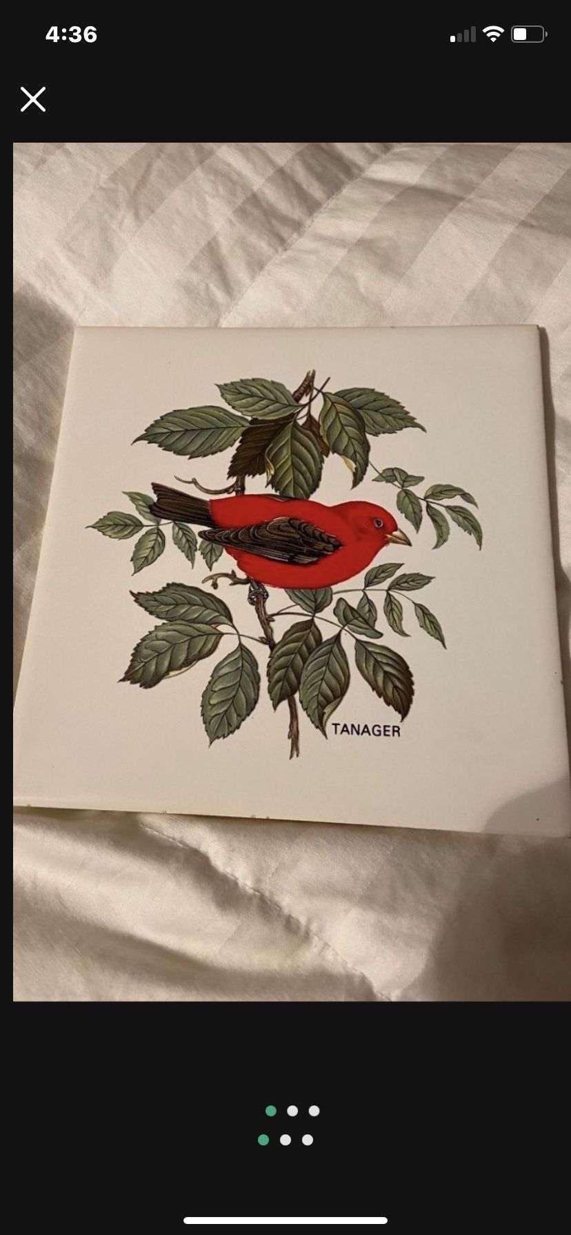 Hyalyn 6" Ceramic Trivet 505 Tanager Bird