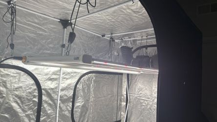 650w Luxx Grow Light