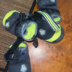 Dog shoes