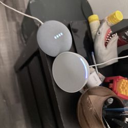 Google Home And Amazon Echo