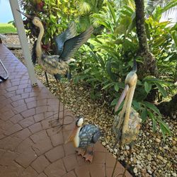 Birds For Landscape