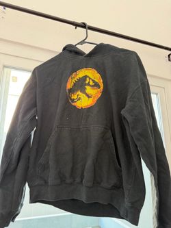 Jurassic Park Graphic Hoodie
