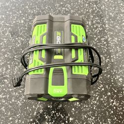 Ego battery with charger