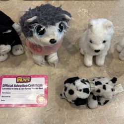 Vet Pet animal clinic and adoption center- pet pretend play- dogs, cats