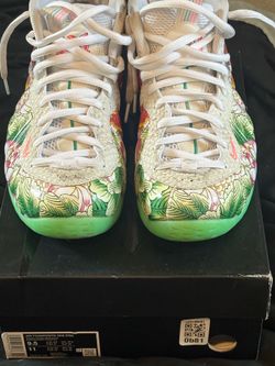 Nike air foamposite one pro taijin2.0