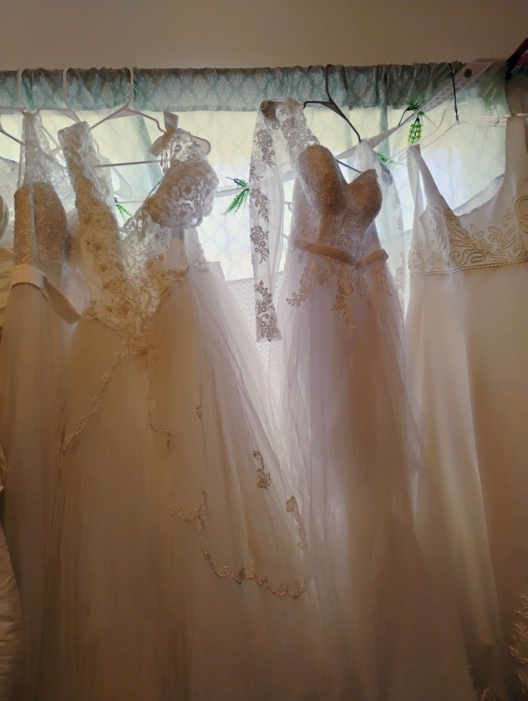 Wedding Dresses Àll Sizes
