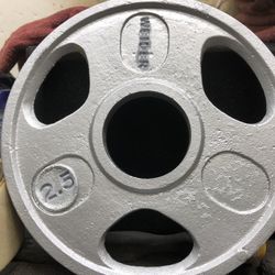 1) 2.5 Pounds Single Plate(weight ) 