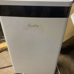 Grelife Dehumidifier 